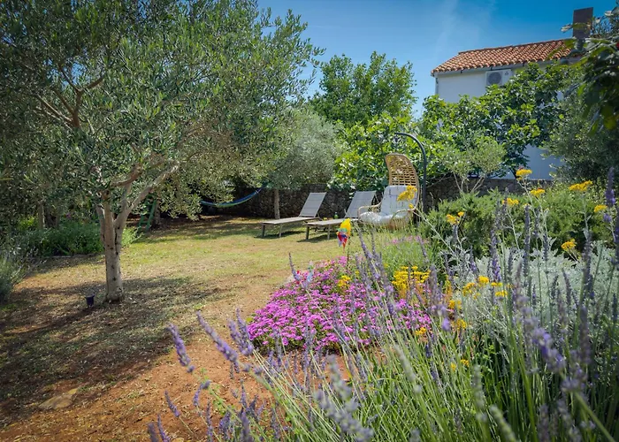 Lavanda